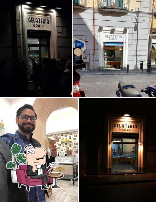 gelateria gallo