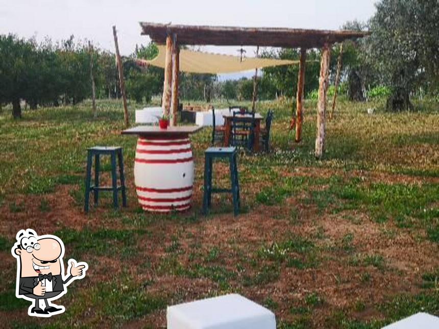 Voir cette image de "Alla Terra" Ristorante Agriristoro