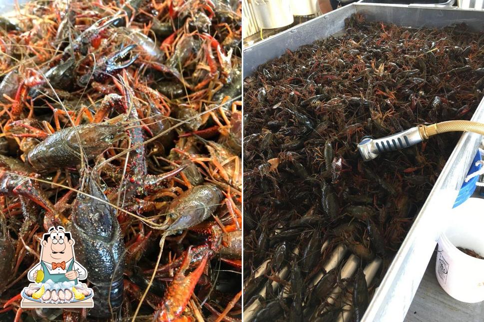Ourso's Seafood House in White Castle Restaurant reviews