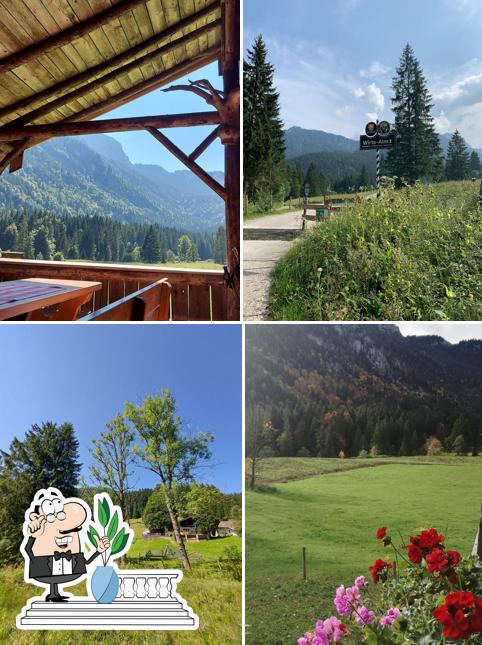 Wirtsalm