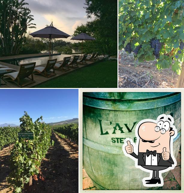L'Avenir Lodge, Stellenbosch Restaurant reviews