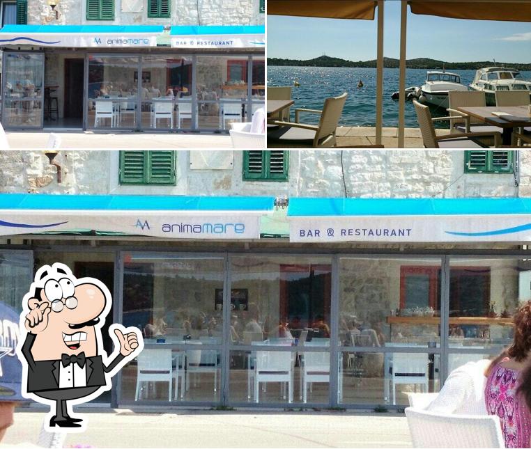 Dai un'occhiata agli interni di Bistro Anima Mare