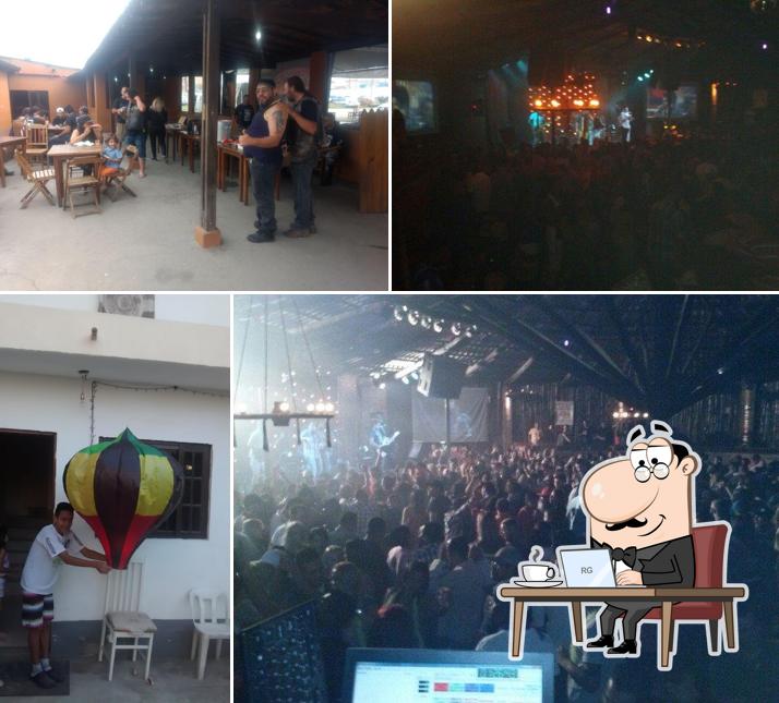 Veja imagens do interior do Chão Selvagem