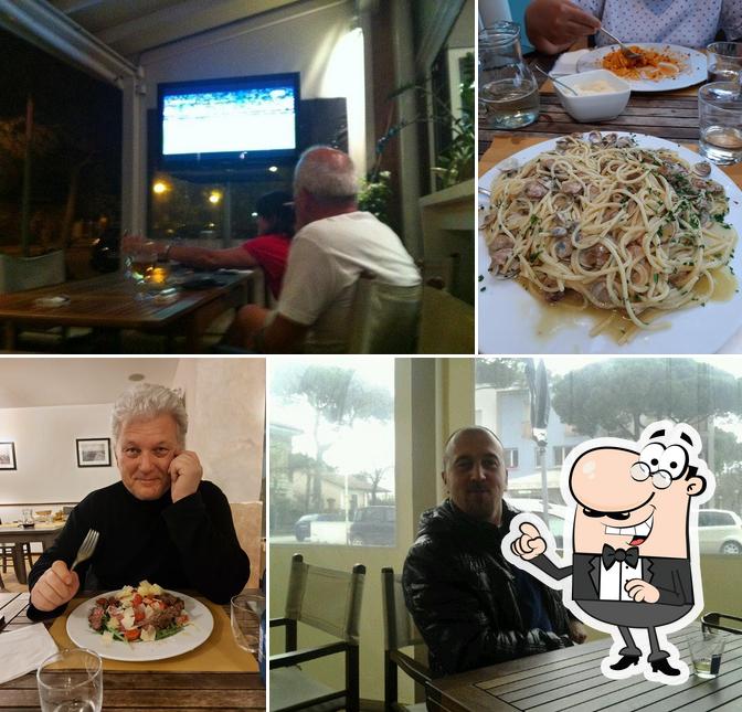 Dai un'occhiata agli interni di Il gatto verde