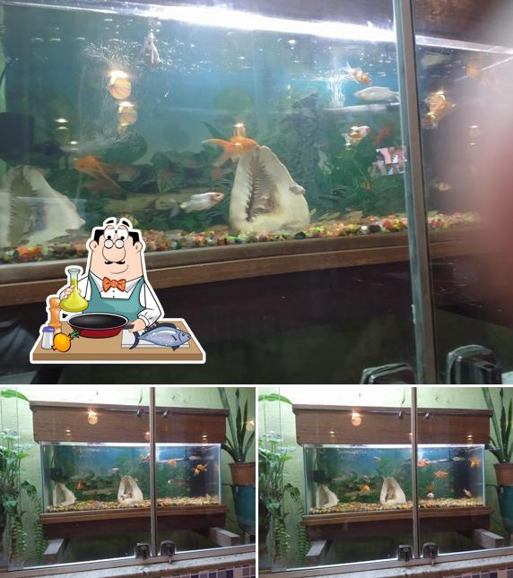 VIPS Pizzaria oferece um menu para amantes de pratos de peixe