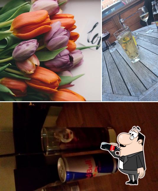 Voici l’image affichant la boire et seo_images_cat_84 sur Den Blompot