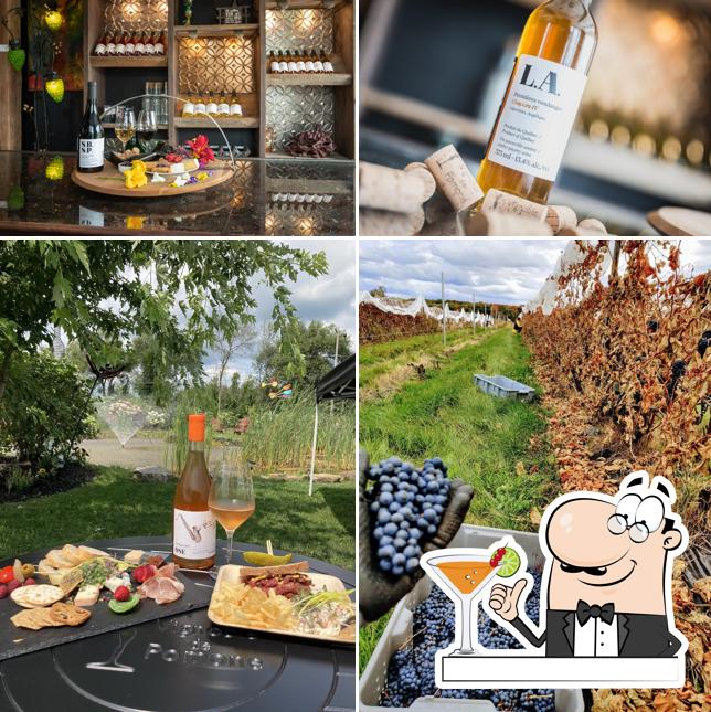 Vignoble de Pomone - Vin, Dégustation & Autocueillette Vignoble à Coteau-du-lac