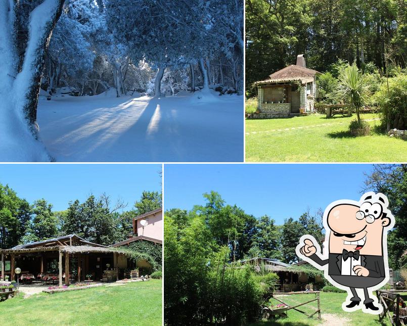 Guarda gli esterni di Il Giardino Di Solorche