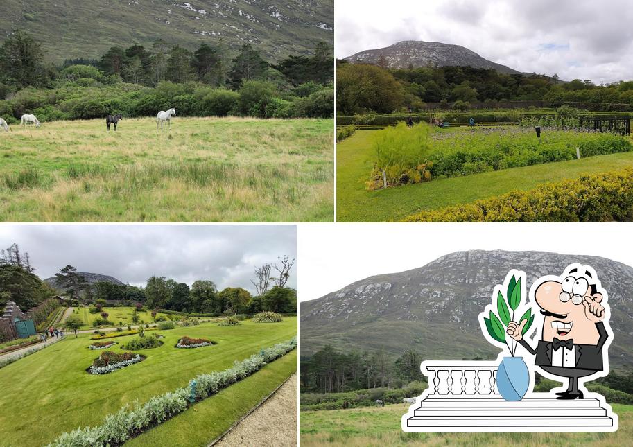 The Garden Tea House in Ireland Restaurant reviews