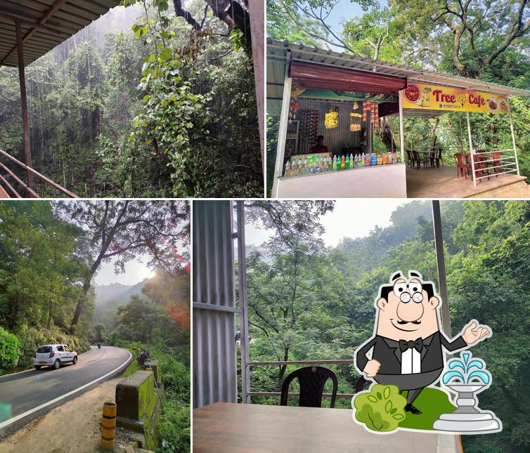 The Tree Cafe ️
