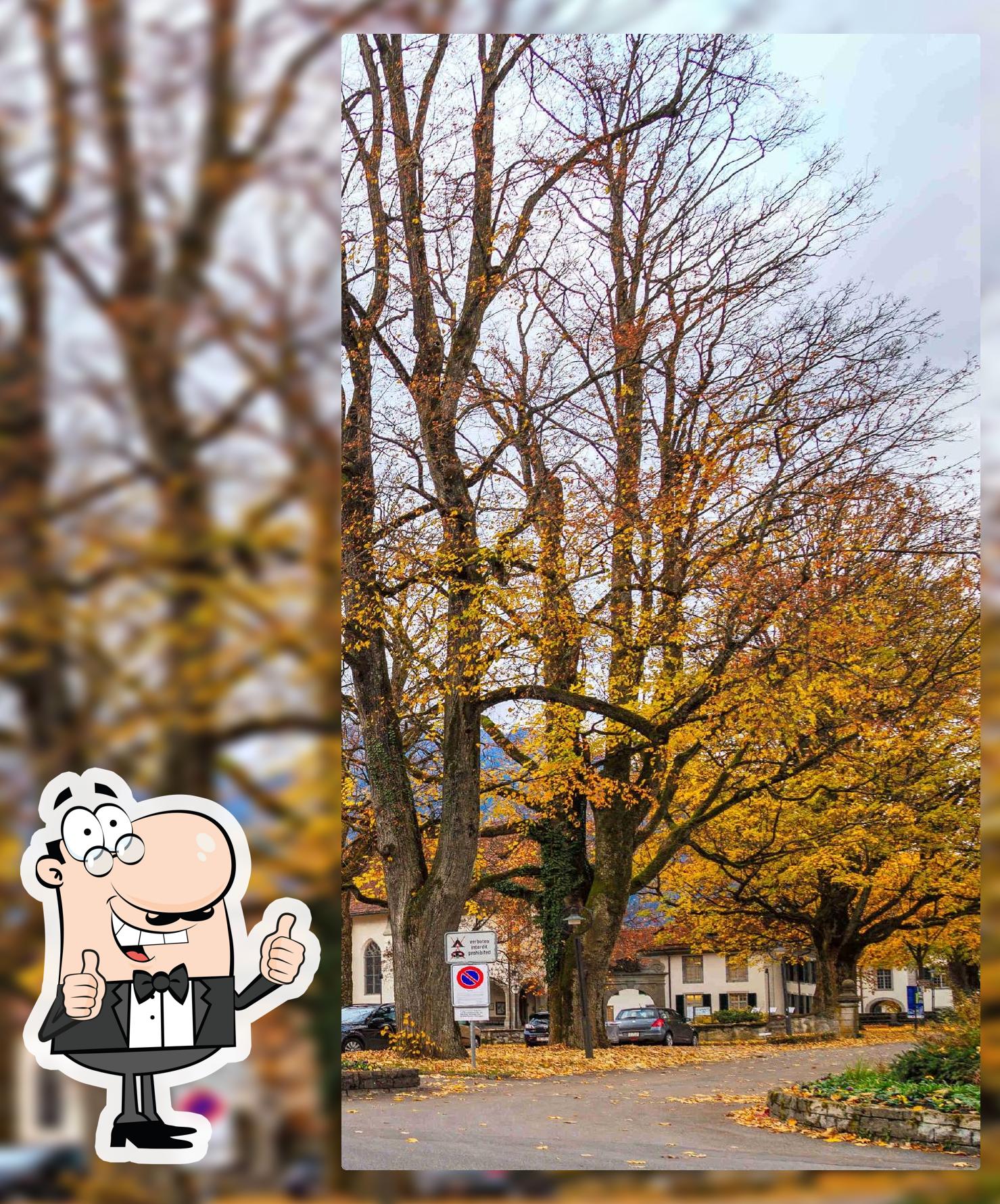 Il Belvedere Di Salvatore Mario