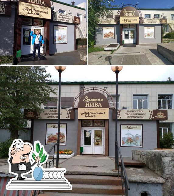 Золотая нива