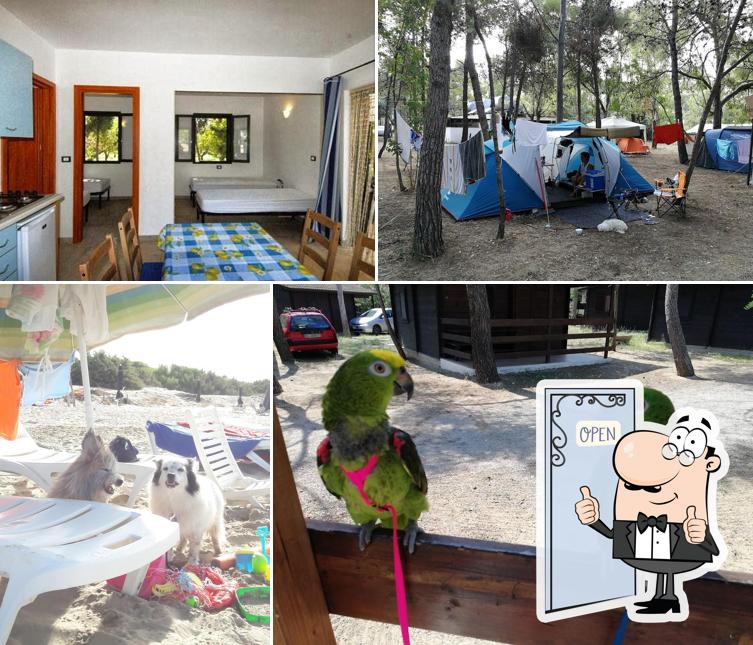 Uria Camping & Village