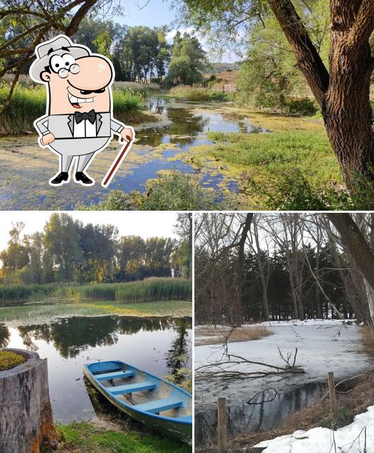 Guarda gli esterni di Lago Ticino