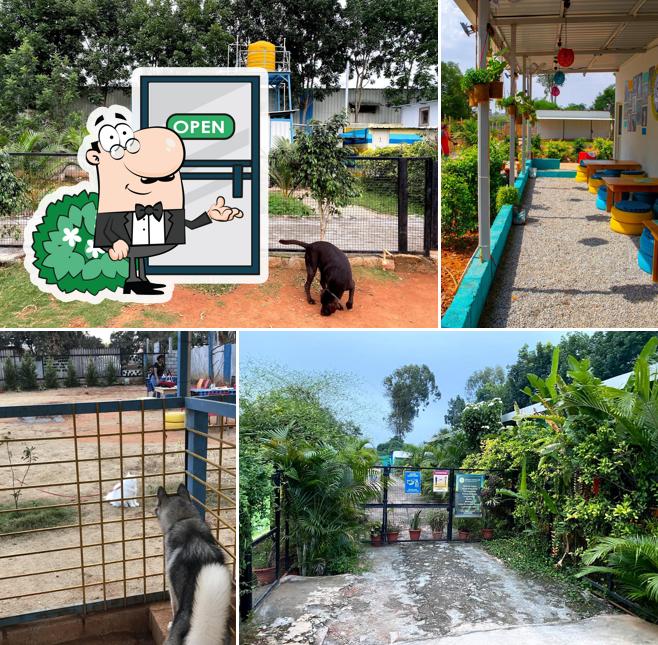 Take a look at the outside area of Snoopy Paws Cafe