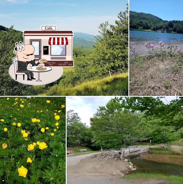 Bar Il Faggio Bar Camping