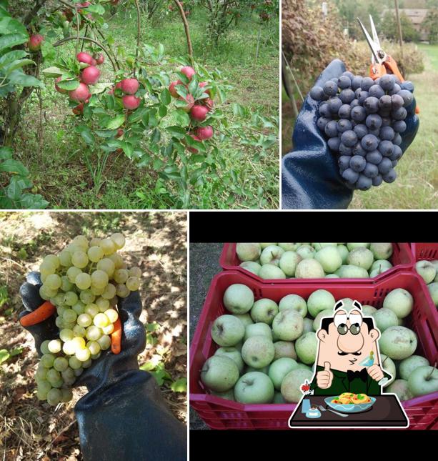 Nourriture à Ca' Giberti - sidro di mele e sidro di pere - degustazioni