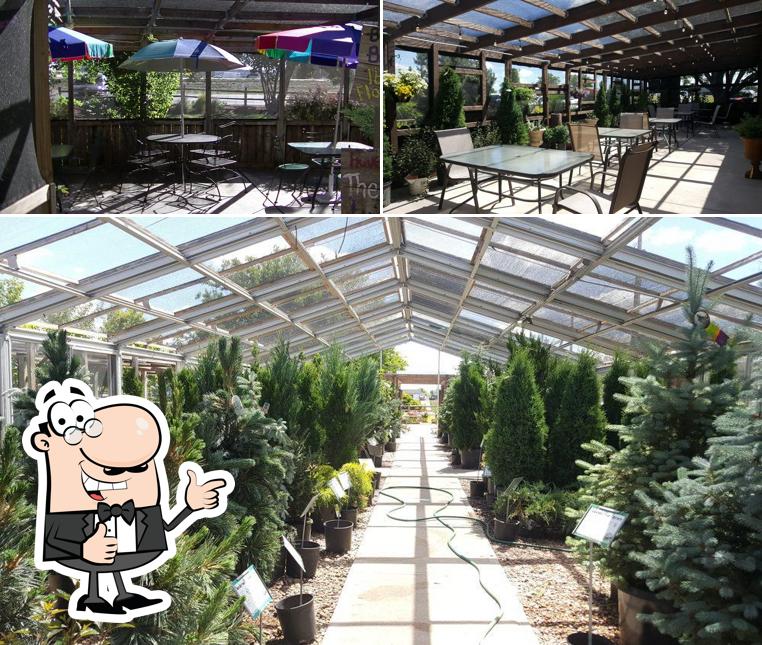 Ward's Garden Center & Cafe in Garden City Restaurant menu and reviews
