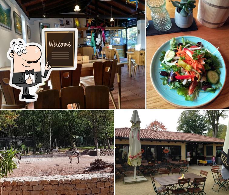 Café Eulenpick cafe, Darmstadt Restaurantbewertungen