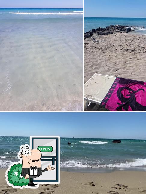 Guarda gli esterni di Lido Pineta
