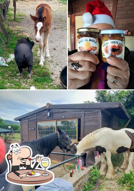Cibo al The Fairy Ranch - Maneggio