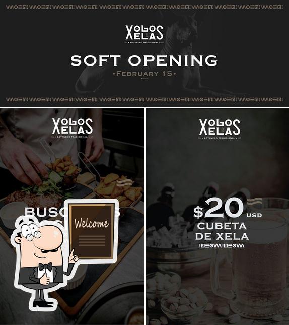 Xolos & Xelas in Houston Restaurant reviews