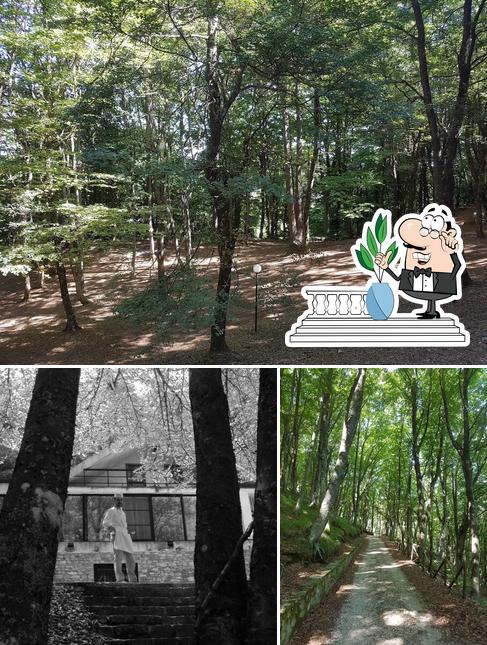 Guarda gli esterni di Chalet dei Faggi da DiDi