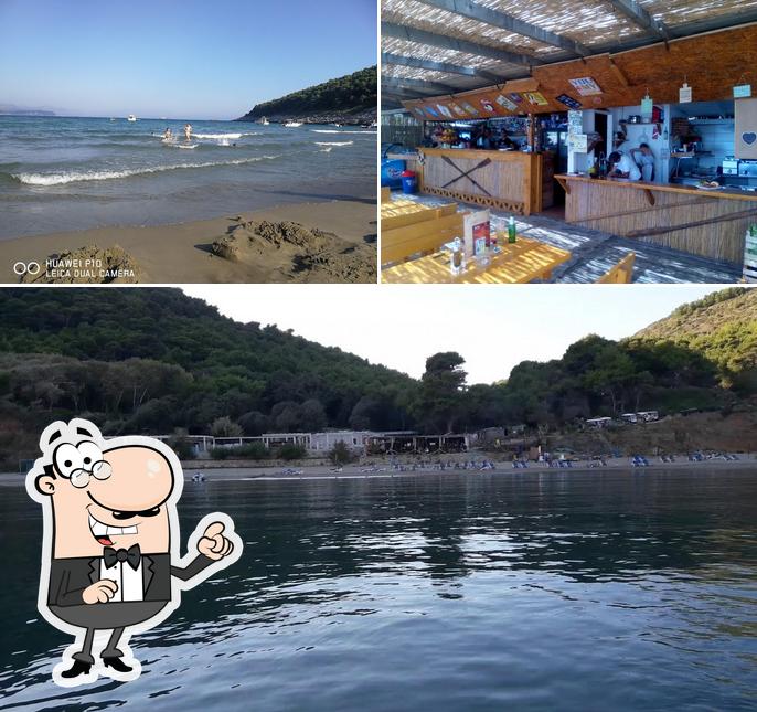 L'extérieur de Beachbar šunj