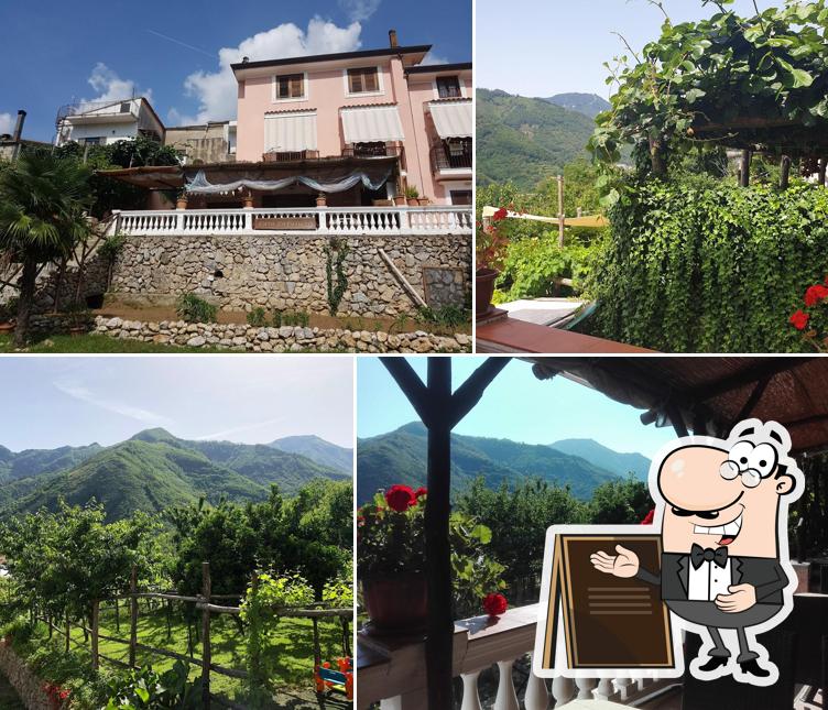 Azienda agricola Casa Cavaliere