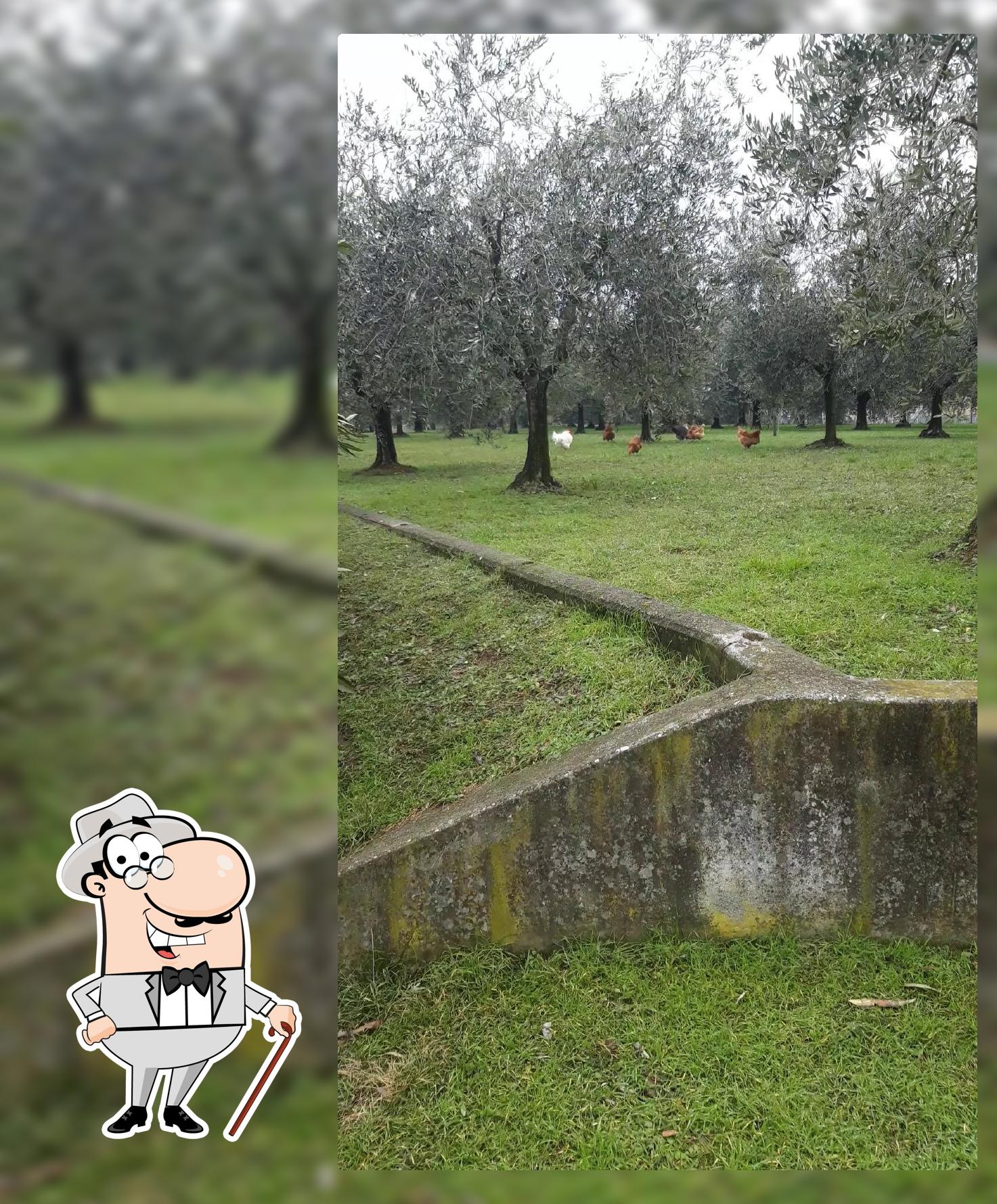 Gli esterni di Vigna Trebeschi - Vendita Vino Sfuso