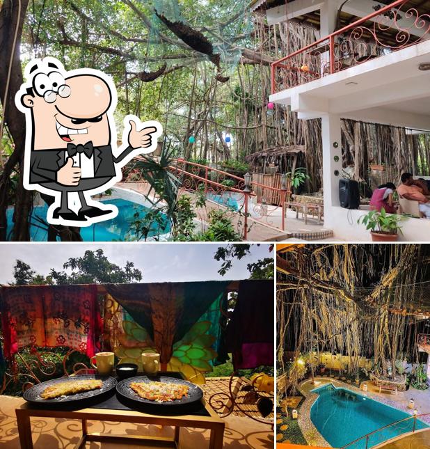 See this pic of The Singing Tree By Nirvana Hotels