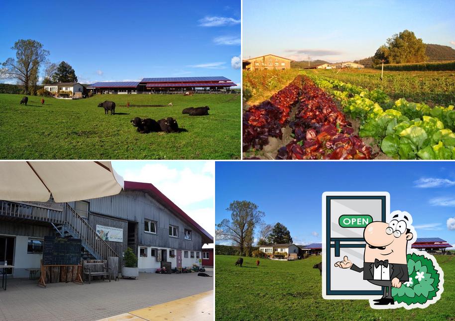 Bolderhof - Bio- und Erlebnisbauernhof