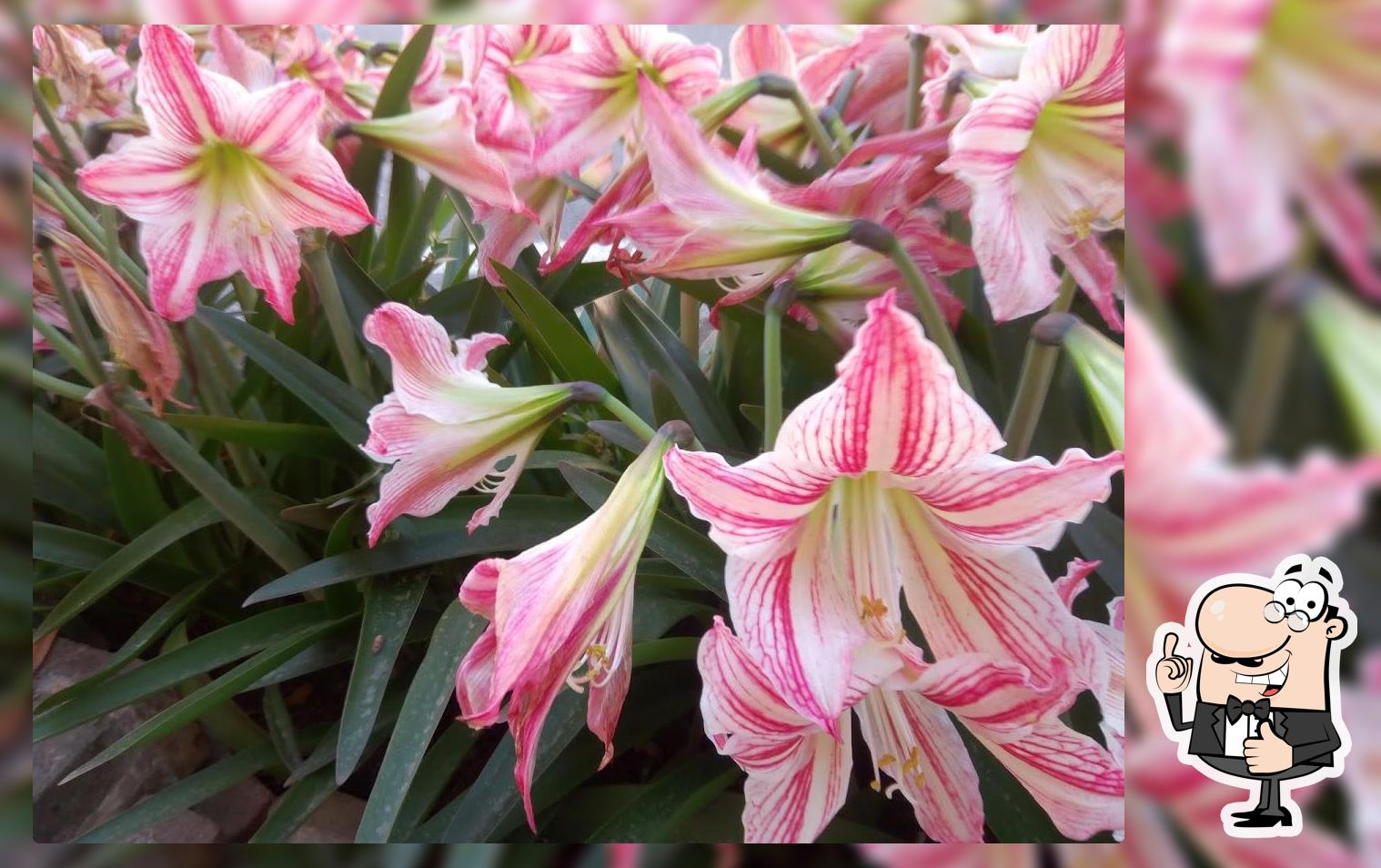 Giaconi Sergio Celso & C. Snc