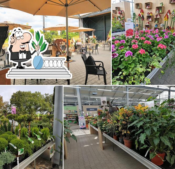 Gartenwelt Dauchenbeck Stein, Stein Speisekarte, Preise und Bewertungen