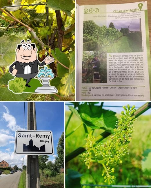 Domaine de la Bouhouille
