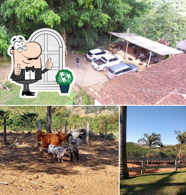 Veja imagens do exterior do Rancho Pompéia - Café Caipira