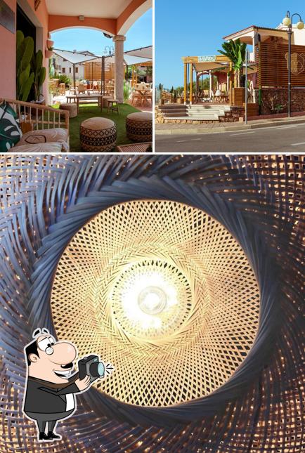 Immagine di Bamboo