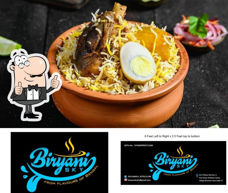 Biryani Sky, New Delhi, C366 Restaurant reviews