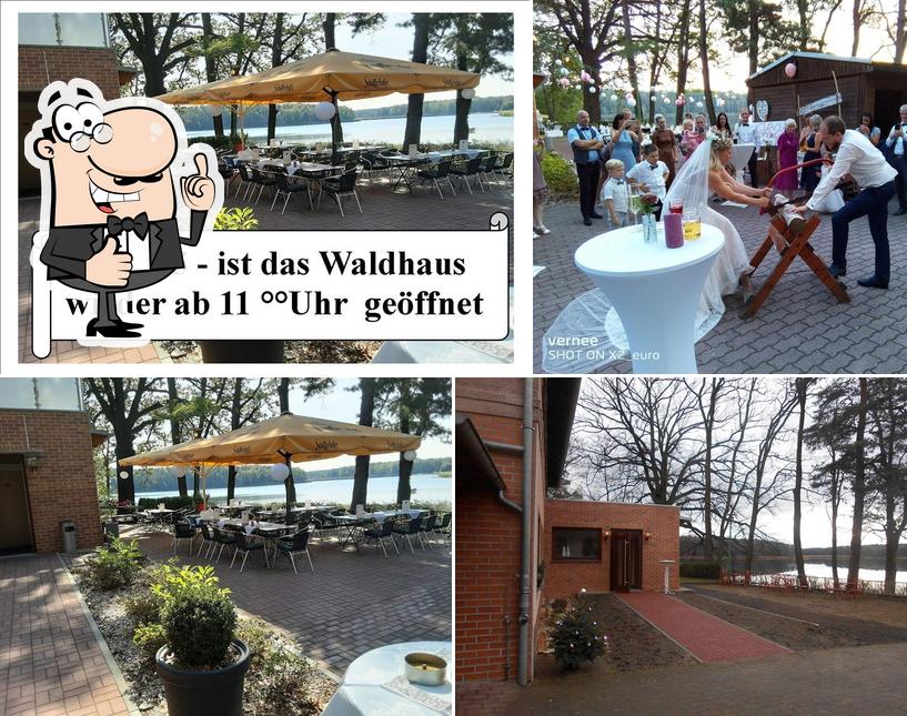 Vea esta imagen de Gasthaus Waldhaus
