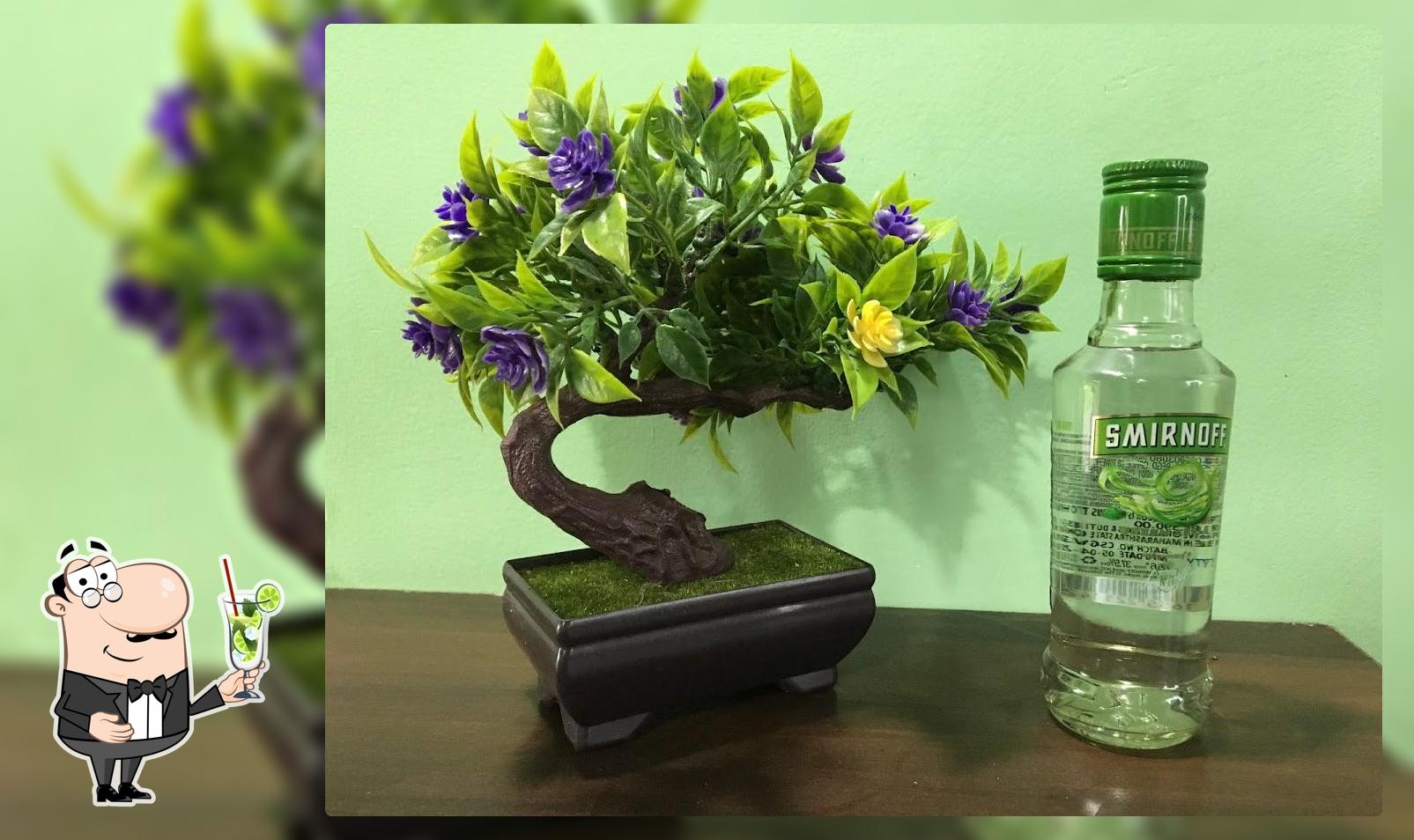 Hotel Coconut Grow Bar & (Permit Room)