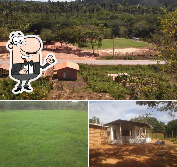 Arena Formigueiro