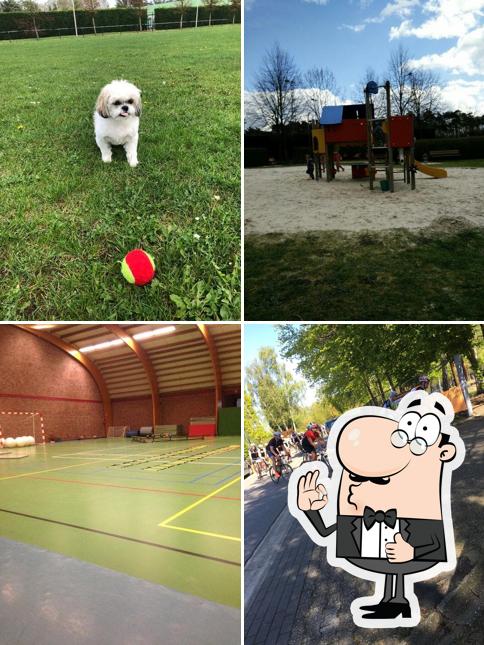 Sporthal Zelem