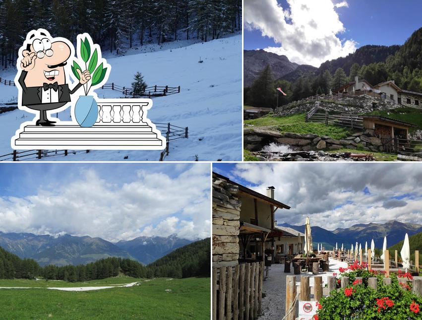 Göflaner Alm