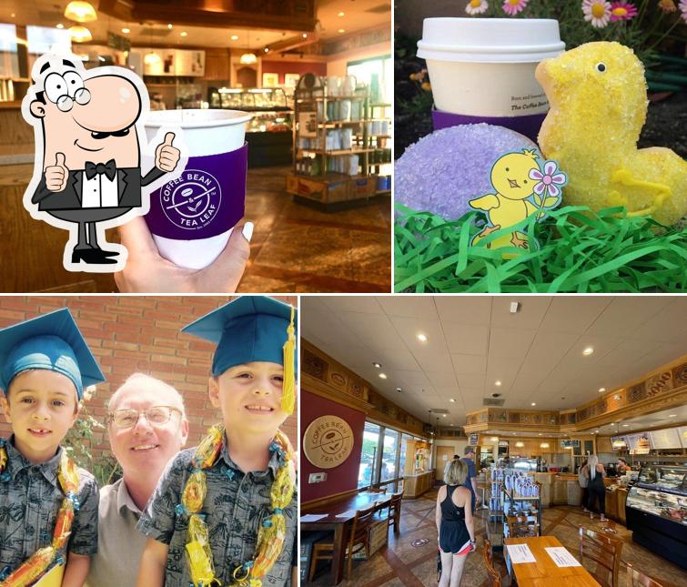 The Coffee Bean & Tea Leaf, 8877 N Scottsdale Rd 408 in Scottsdale
