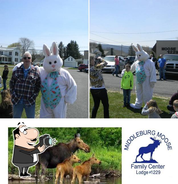 Middleburg Moose Lodge 1229 in Middleburg Restaurant reviews