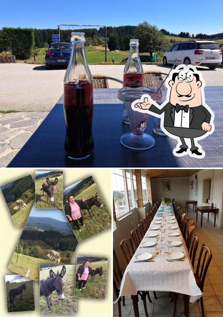 Parmi les diverses choses de la intérieur et la bière, une personne peut trouver sur Auberge - Gite et Loisirs de La Barbanche