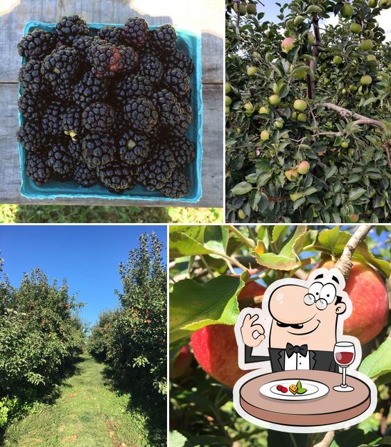 MarkerMiller Orchards in USA Restaurant reviews
