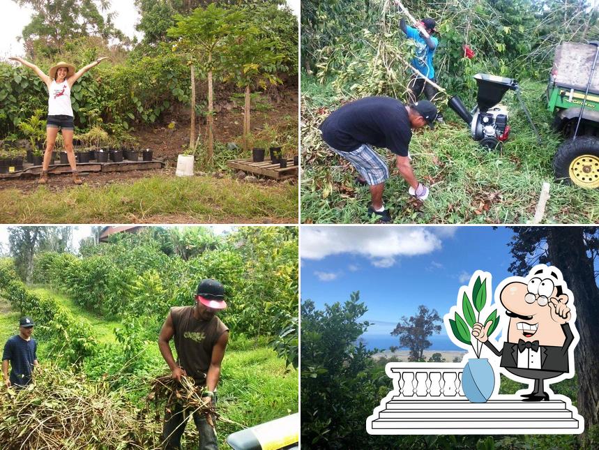 Lyman Kona Coffee Farms in KailuaKona Restaurant reviews