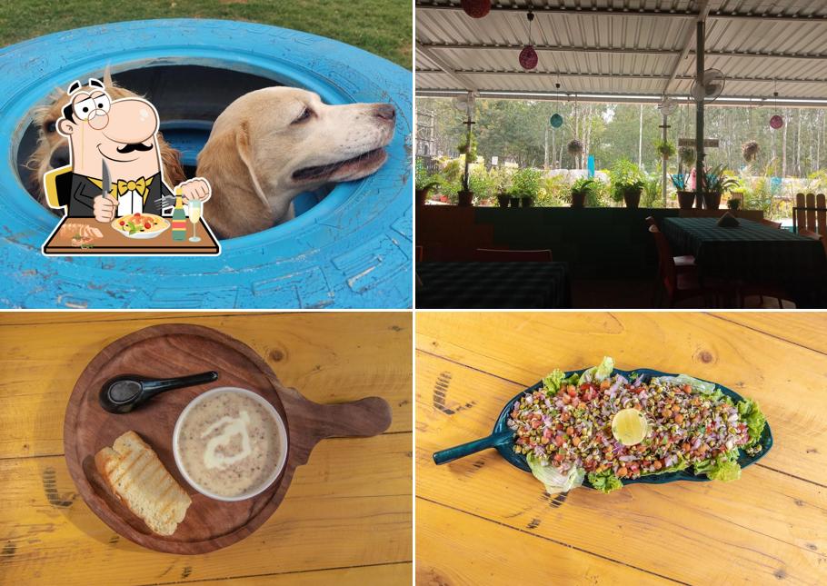 Food at Snoopy Paws Cafe