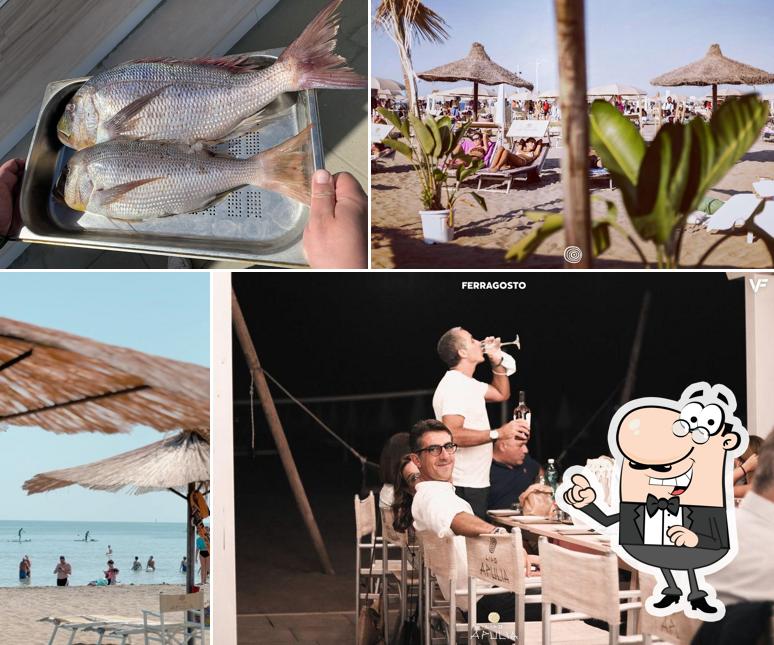 Dai un'occhiata agli interni di Lido Apulia